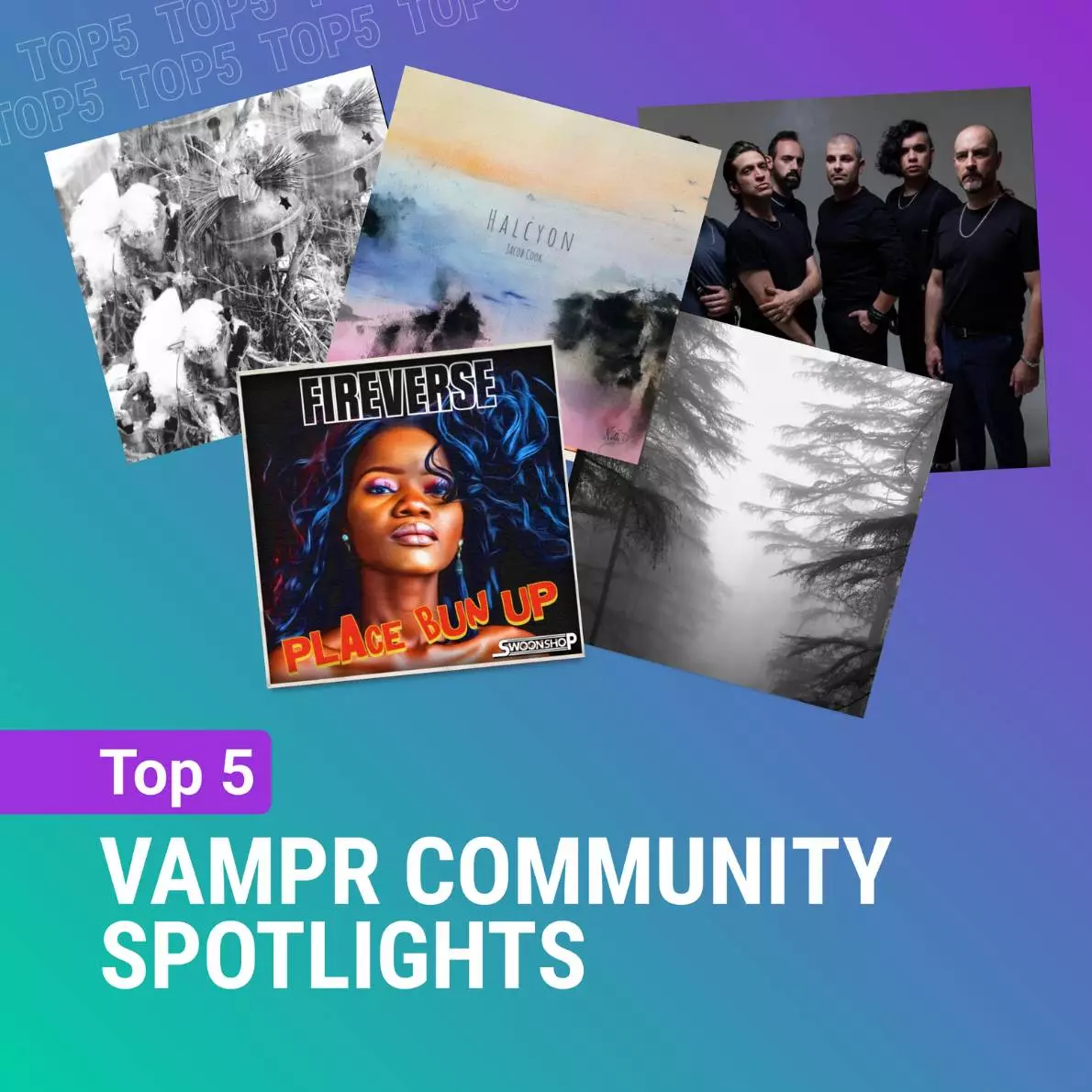 Top 5 Vampr Community Spotlights text with 5 images above of the people spotlighted.